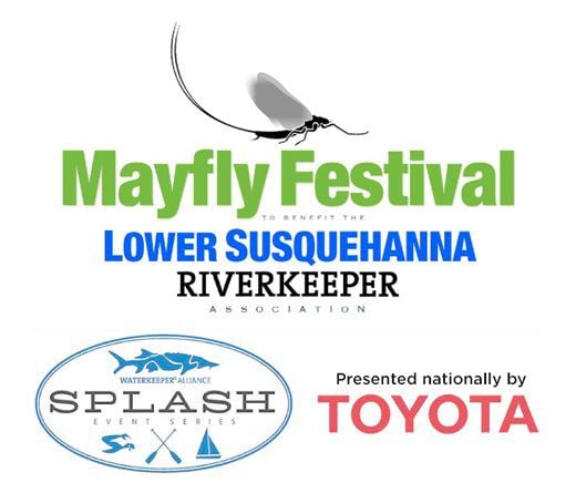 Festival will celebrate, not vilify, infamous swarms of Susquehanna ...