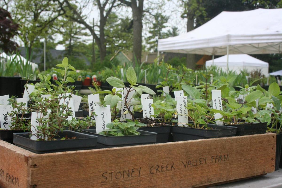 Plant sales and swaps in the Lancaster County region; here's what's