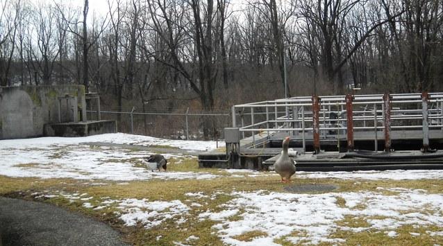 'We need to get this thing up and running': Sadsbury sewer authority