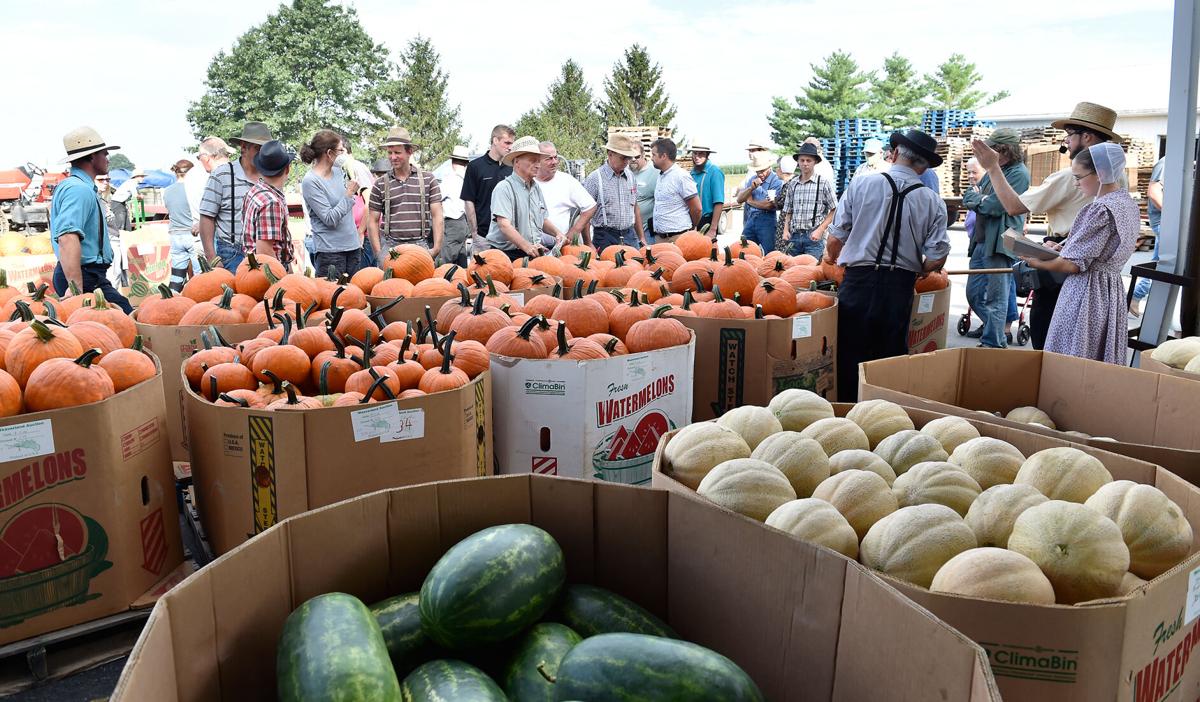 A day at Weaverland and Leola produce auctions [photo slideshow