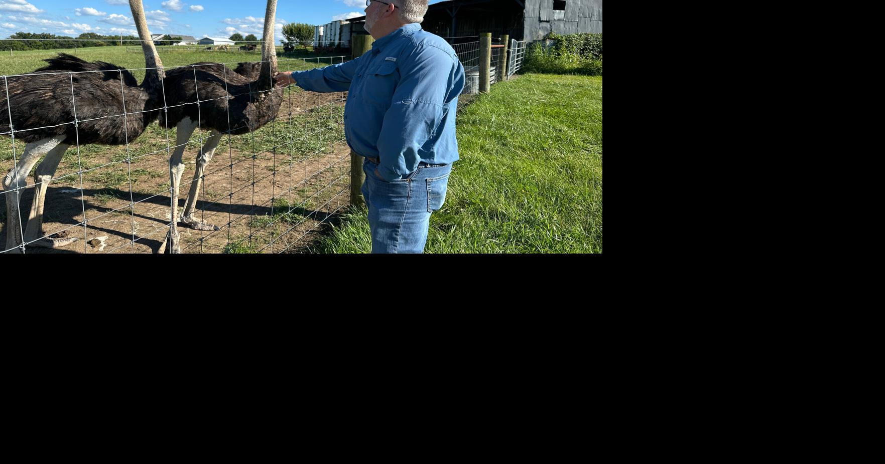 A Kentucky man with a meat allergy was craving a burger. So he got into ostrich farming U.S. ostrich farmers say they're finding new customers who developed a red meat allergy triggered by tick bites By DYLAN LOVAN - Associated Press Sep 6, 2026
