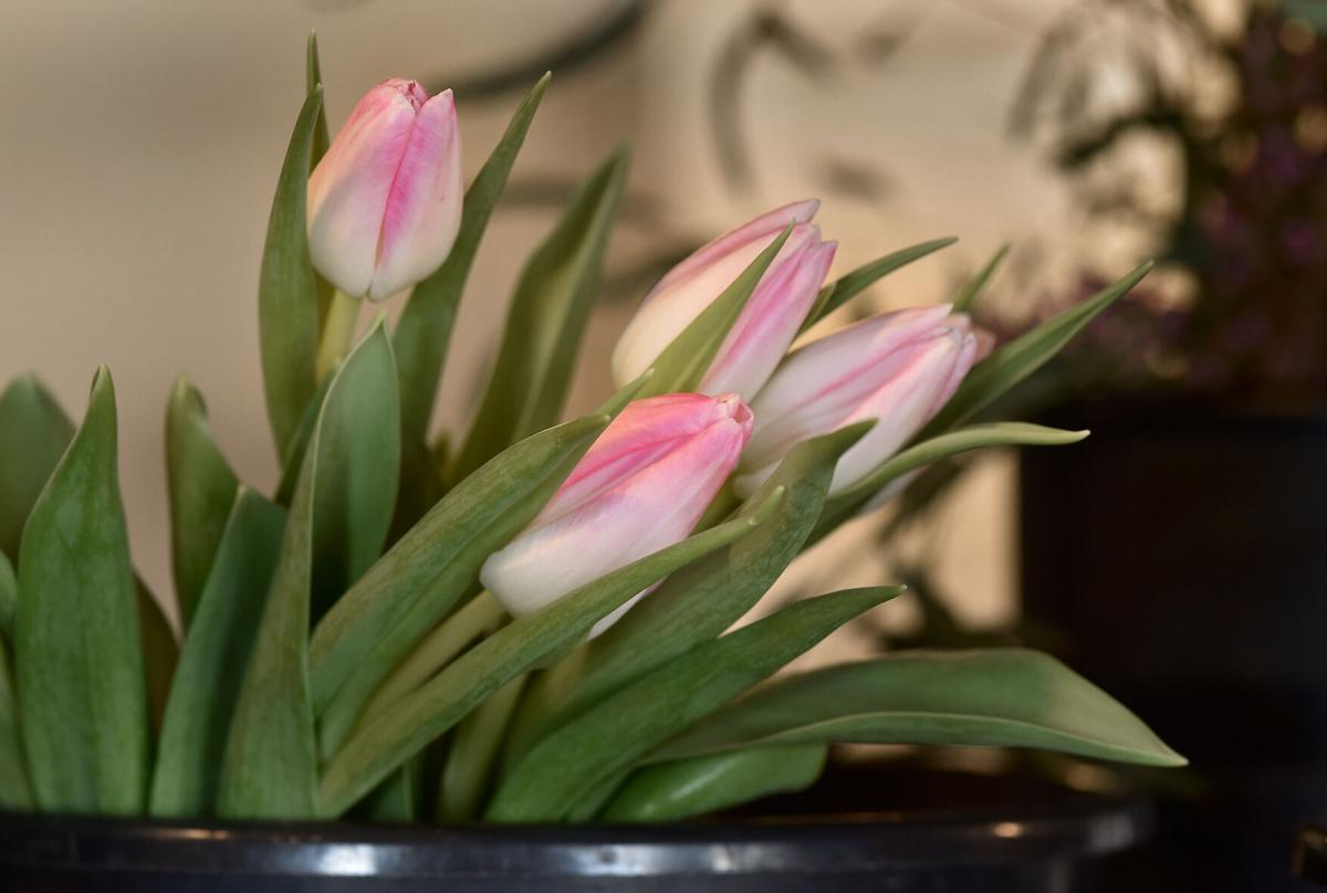 Flourish Flowers