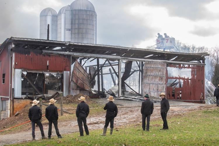 Firefighters save 3 trapped cows while battling barn fire in Colerain ...