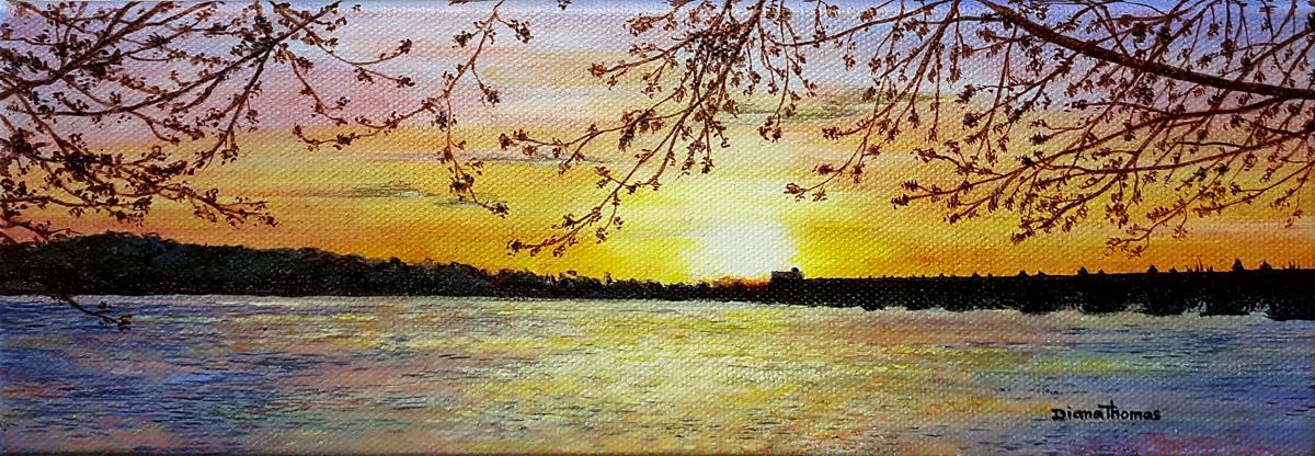 Diana Thomas Current Color A Year On The River On Display