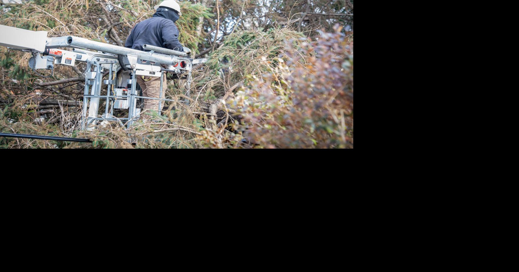 Strong winds damage property, leave thousands without power in ...