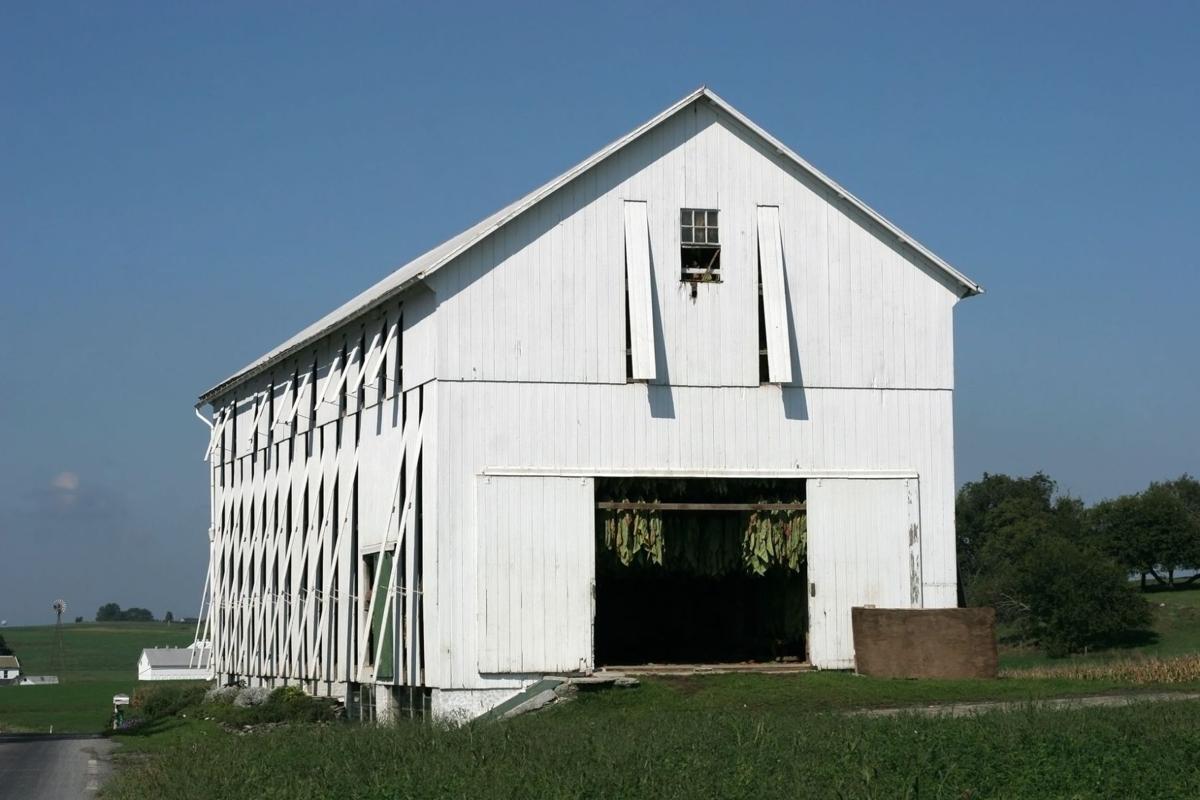 Design Intervention Filling The Farmyard Lifestyle