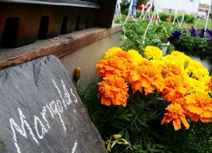 Herb and Garden Faire at Landis Valley Entertainment