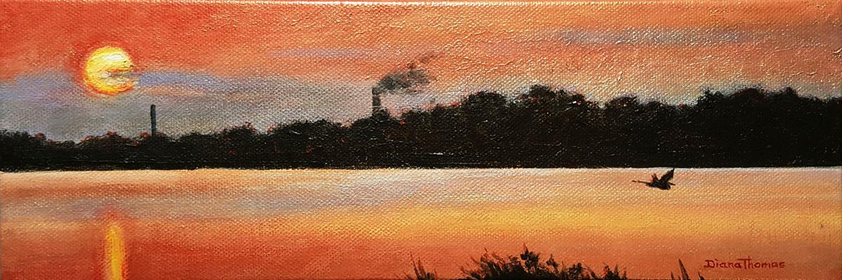 Diana Thomas Current Color A Year On The River On Display