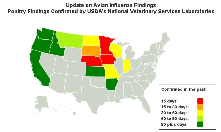 Avian Flu At PA's Doorstep? Wild Geese Caught In Michigan Tested ...