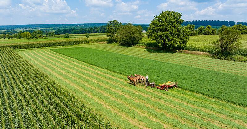 Pennsylvania, county agencies preserve 4 more Lancaster County farms