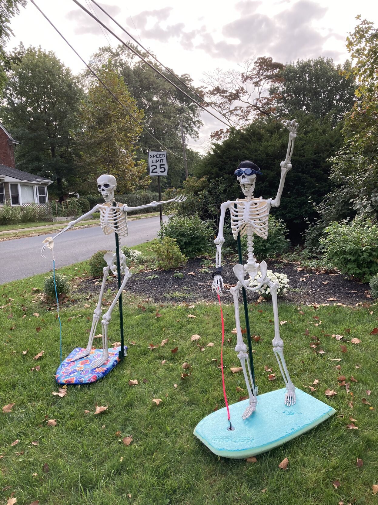 Family's Creative Halloween Decor Delights Neighborhood