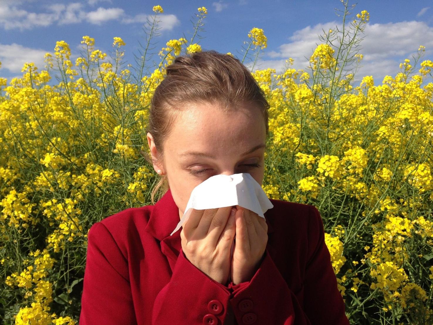 Take steps to avoid bringing the misery of pollen indoors Together