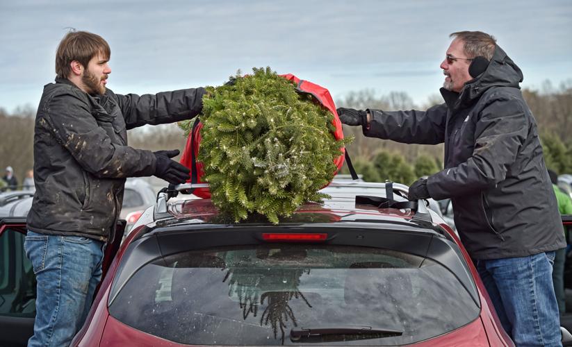 How to pick a Christmas tree & have a good time doing it Local News