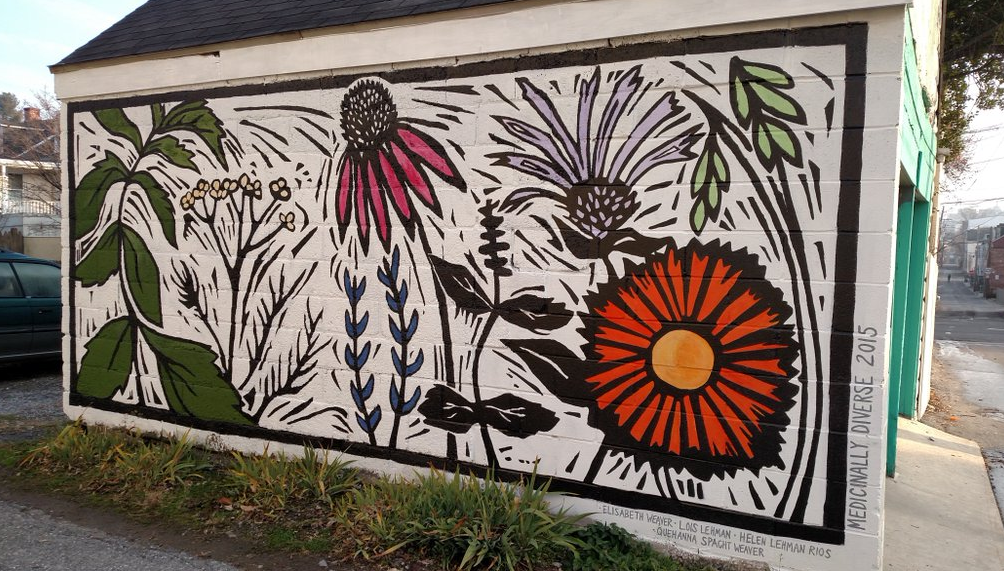 Map and photos: 43 murals to go see in Lancaster city | Local News | lancasteronline.com