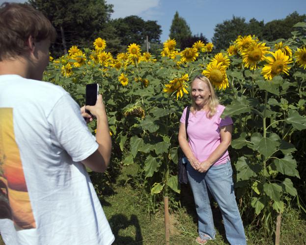 Wheatland Community Sunflower Garden [photos]