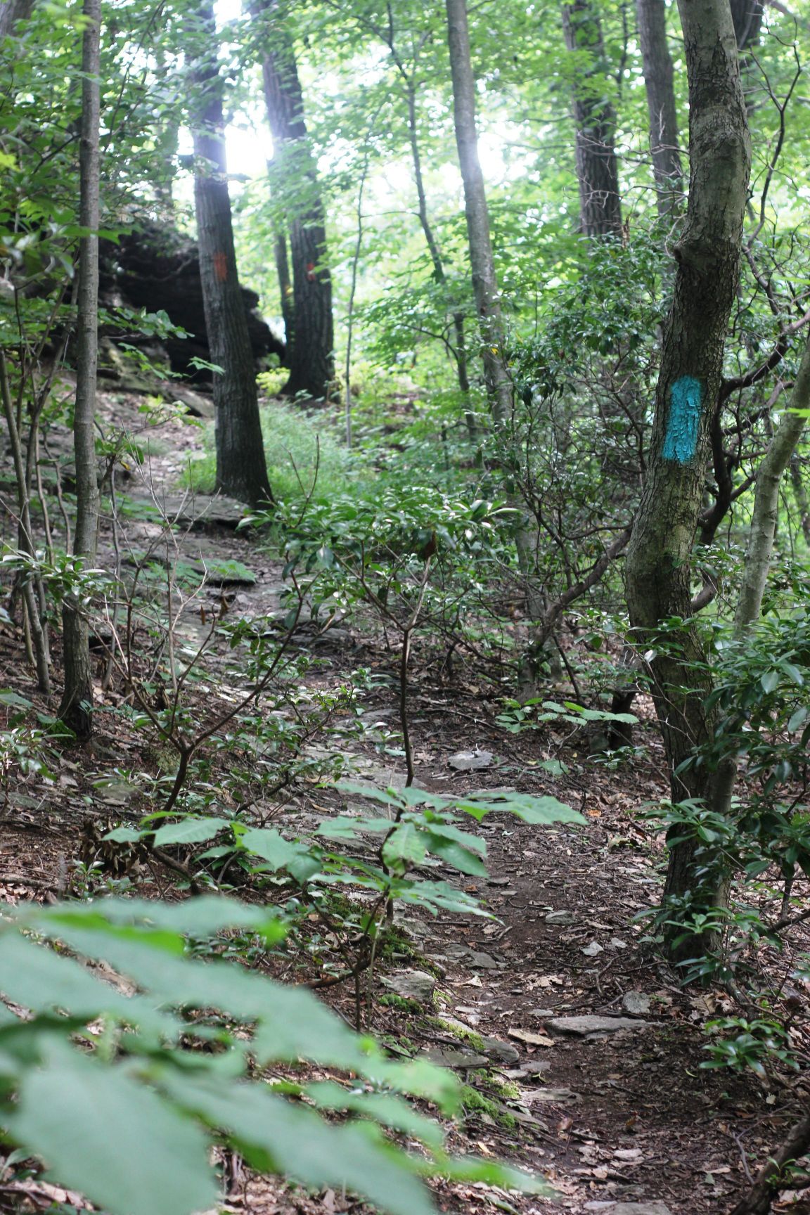Lancaster County pastor first to traverse 63mile Conestoga Trail in a