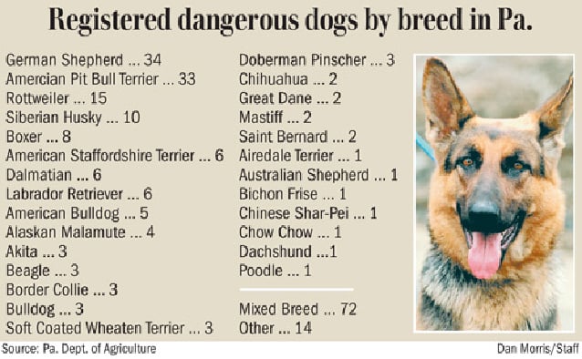 vicious dog breed list