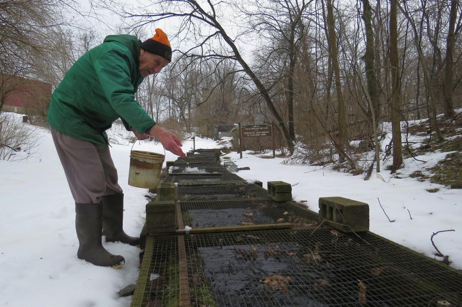 Gill lice parasite found in Lancaster County trout, kid's ...