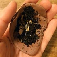 Kid-friendly activity: Make seed balls for gifts, or for your own garden