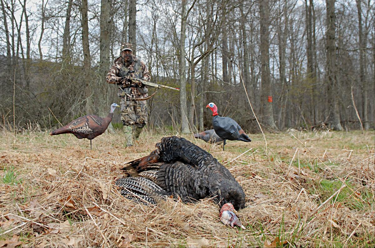 PA Game Commission predicts hot action for spring turkey season Outdoors