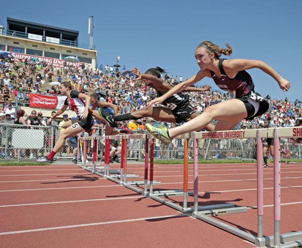 Manheim Township's Mackenzie Horn sets PIAA pole vault record in gold