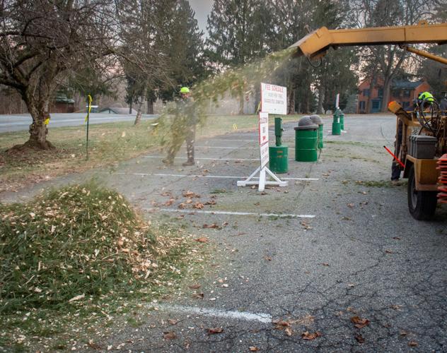 Christmas trees turned into mulch [photos] Local News
