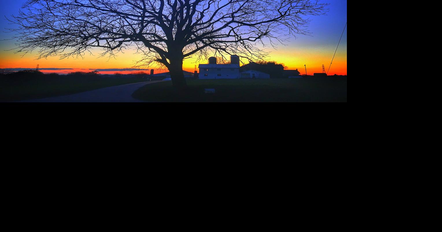Through the Viewfinder Tree at sunset Life & Culture