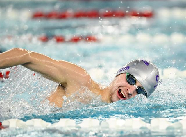 PHOTOS: Division I District Swimming Championships