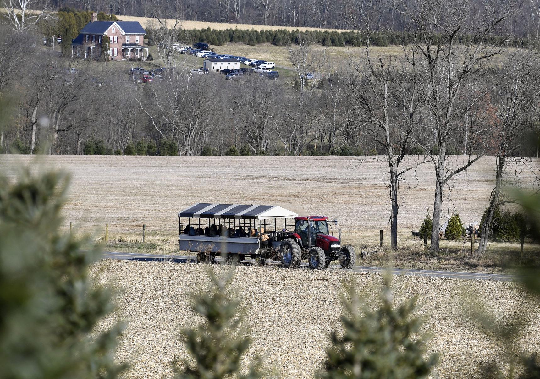 Celebrating the holidays at Elizabeth Farms [photos] Local News