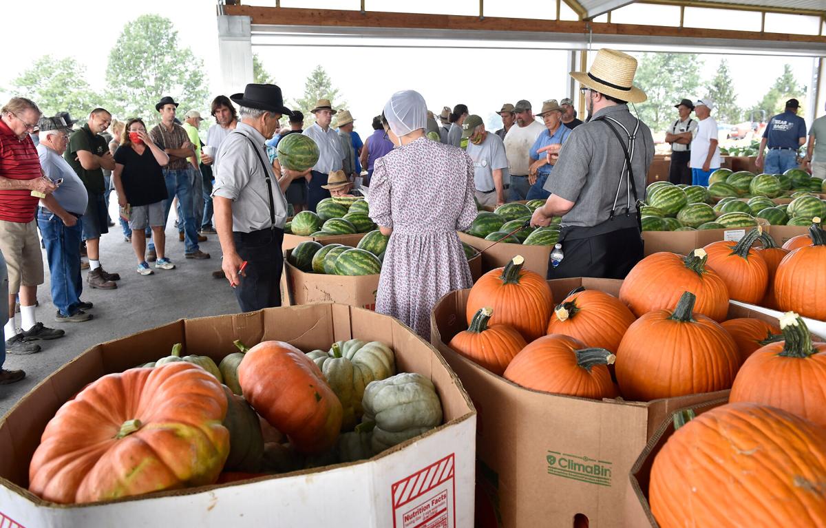A day at Weaverland and Leola produce auctions [photo slideshow