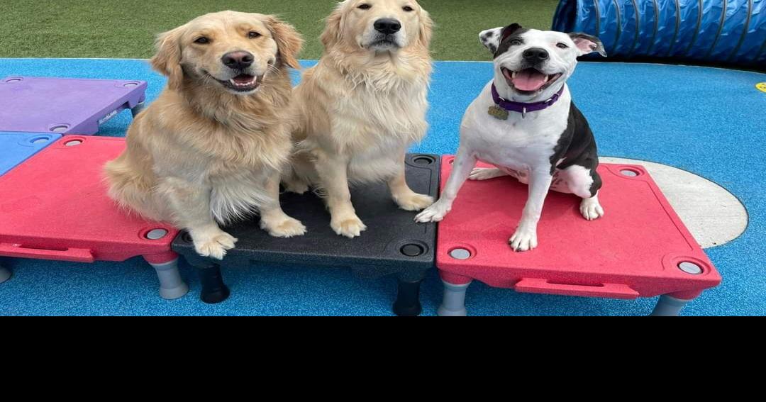 Elizabethtown’s premier pet resort Readers' Choice Awards