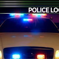 Thieves steal inflatable Grinch; man throws leaves at person with leaf blower: Lancaster County police log, Dec. 6, 2021 | Police Log