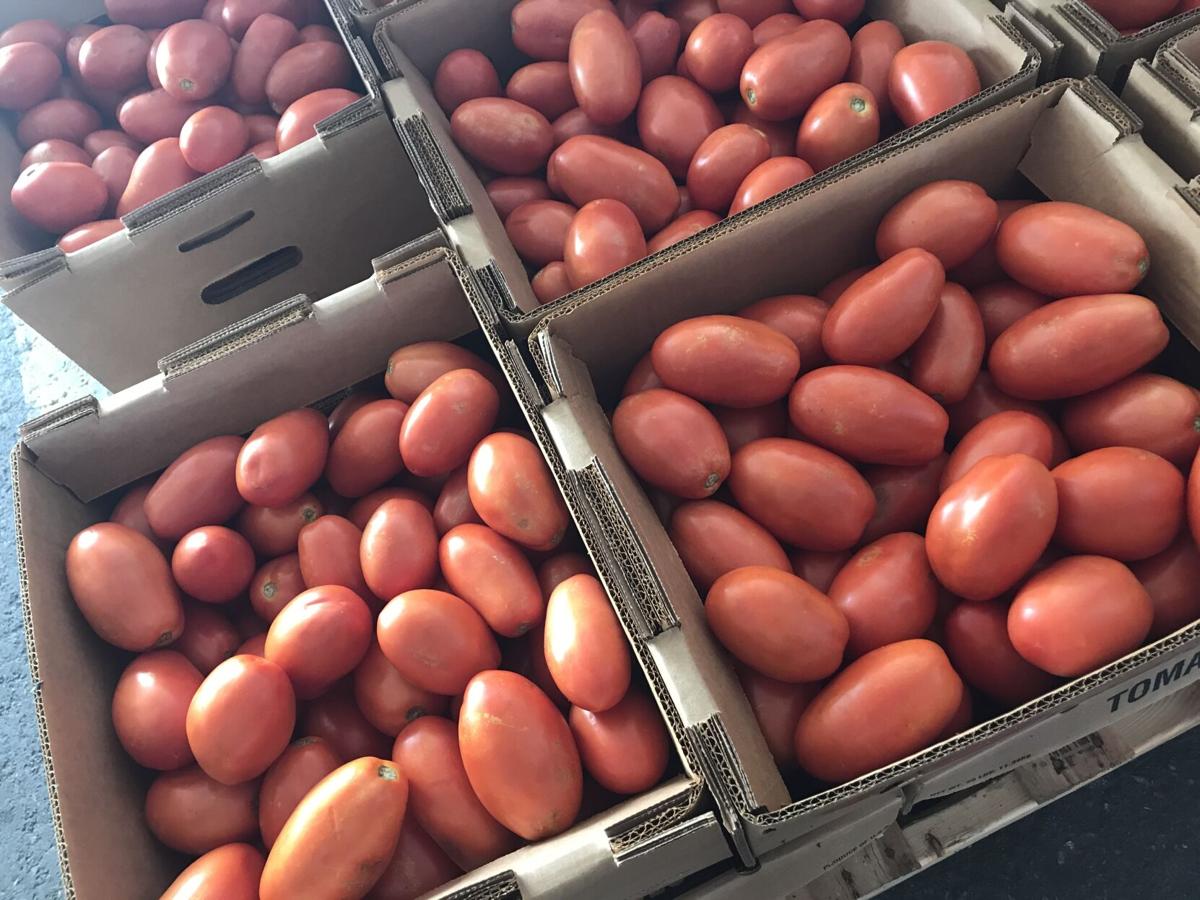 A day at Weaverland and Leola produce auctions [photo slideshow