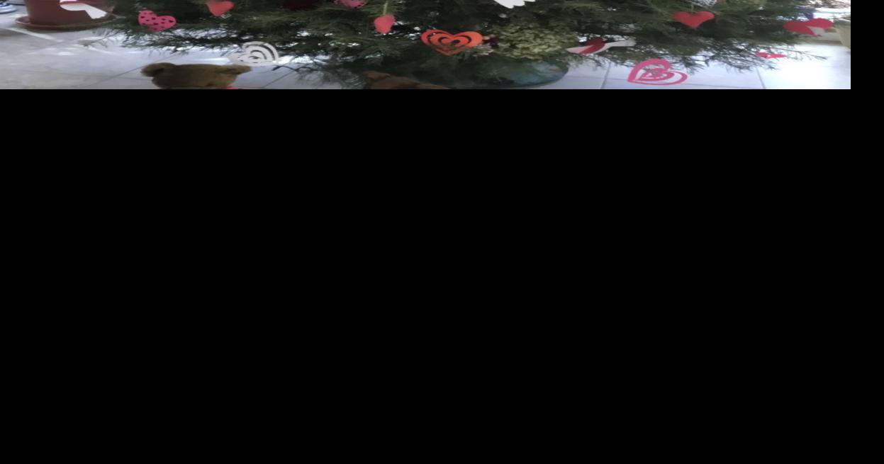 This Manheim Township man's Christmas tree is 14 feet tall, alive and