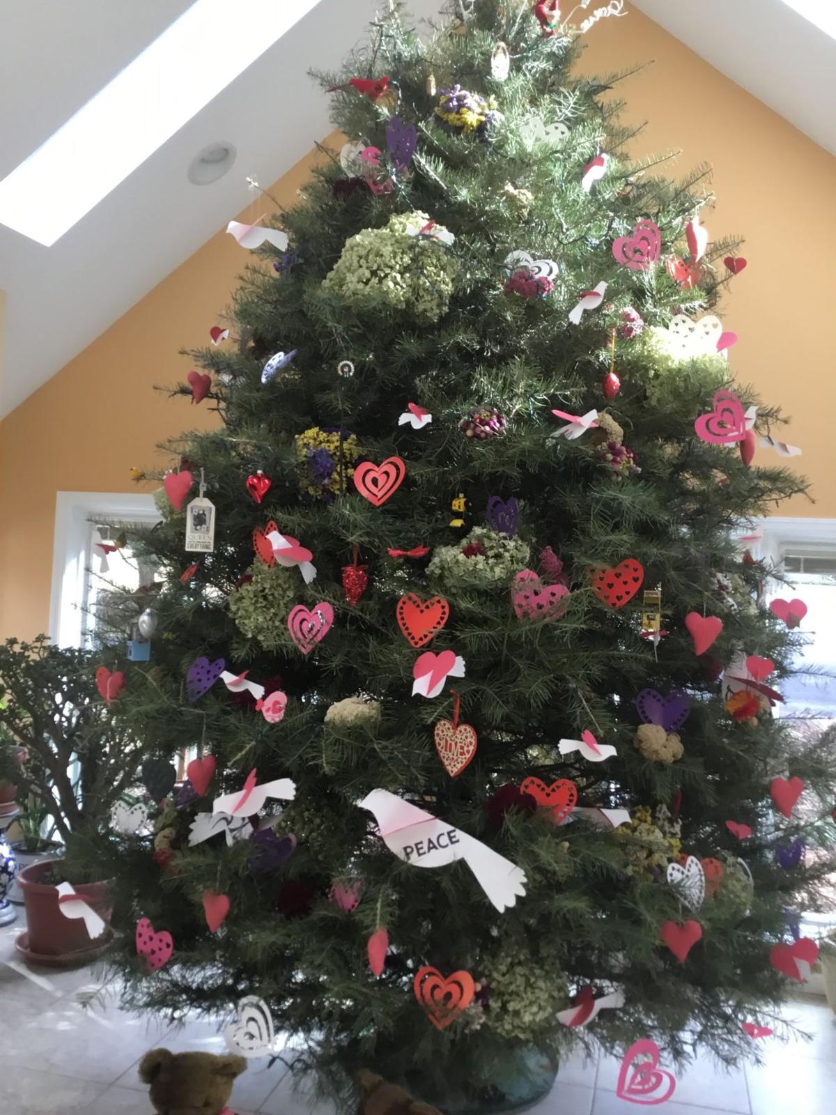 This Manheim Township man's Christmas tree is 14 feet tall, alive and