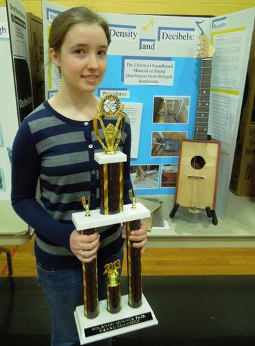 Music project takes top prize in Solanco Science Fair | News ...