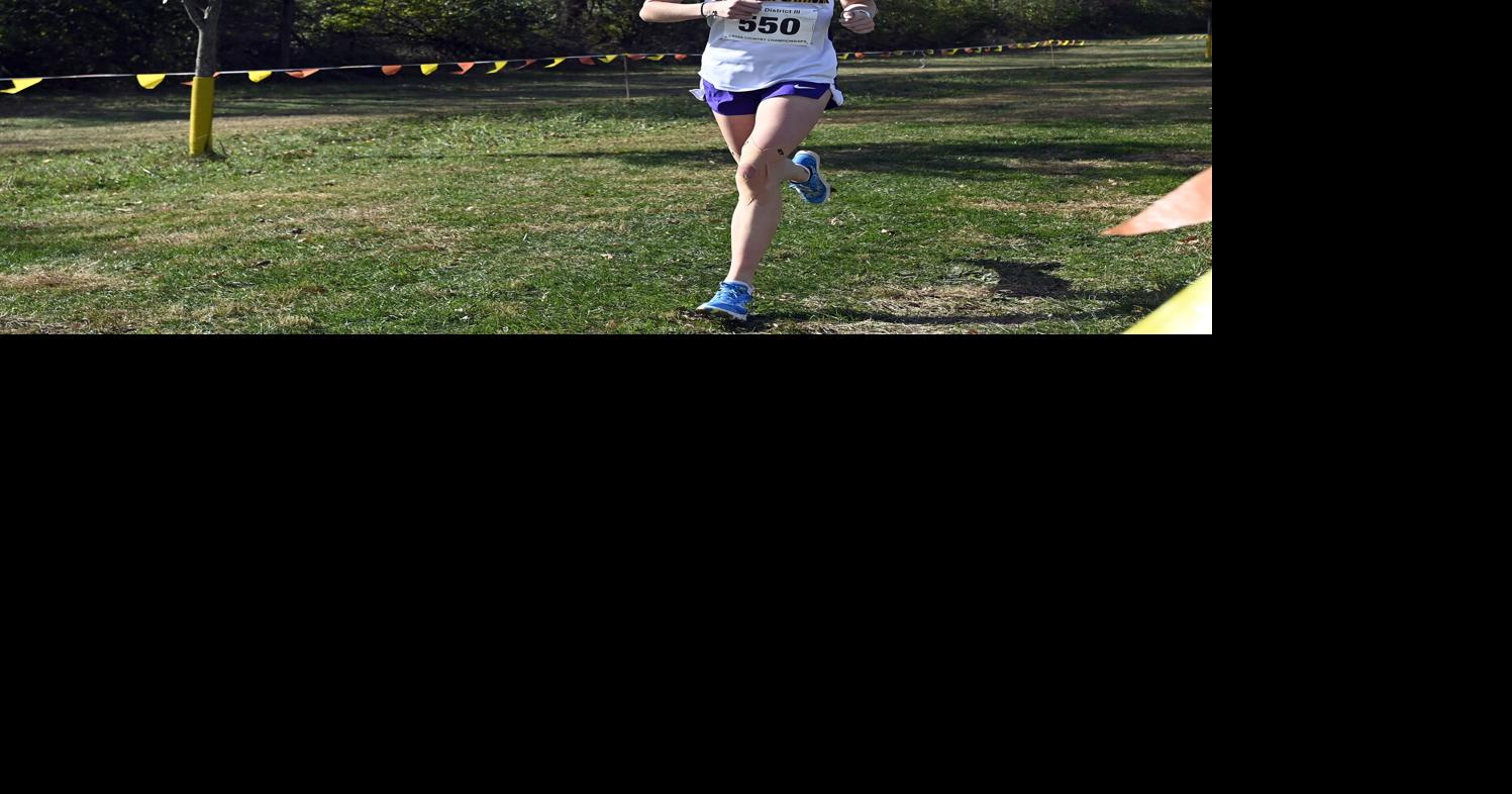 L-L League runners earn 2 individual gold medals, 2 team titles at ...