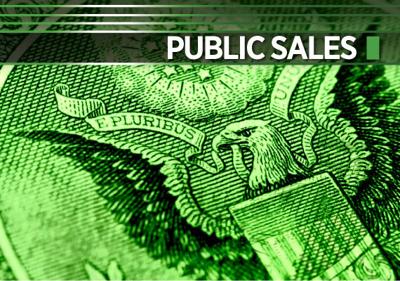 Public sales logo 1