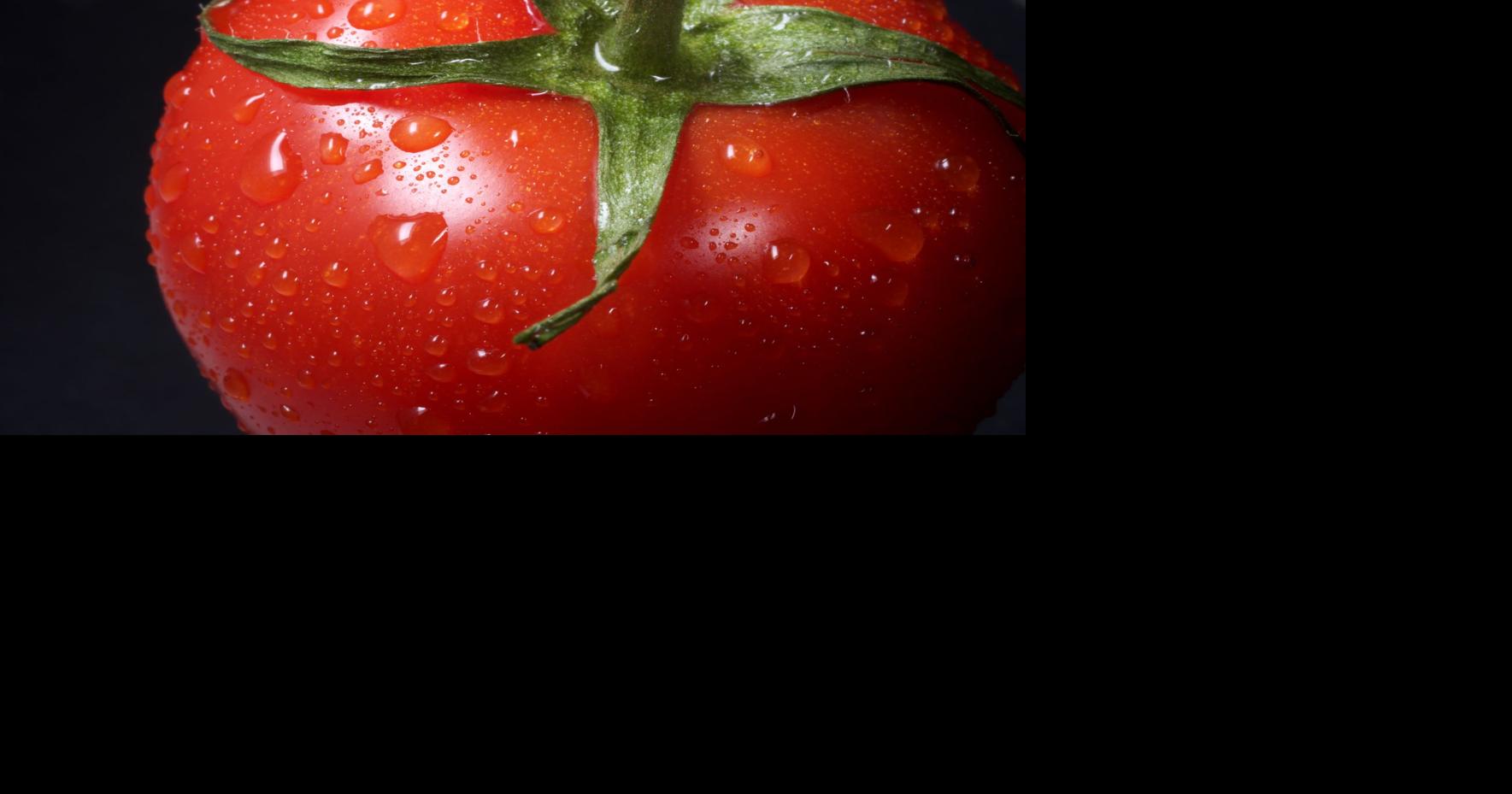 Garden tips for the juiciest tomatoes Life & Culture