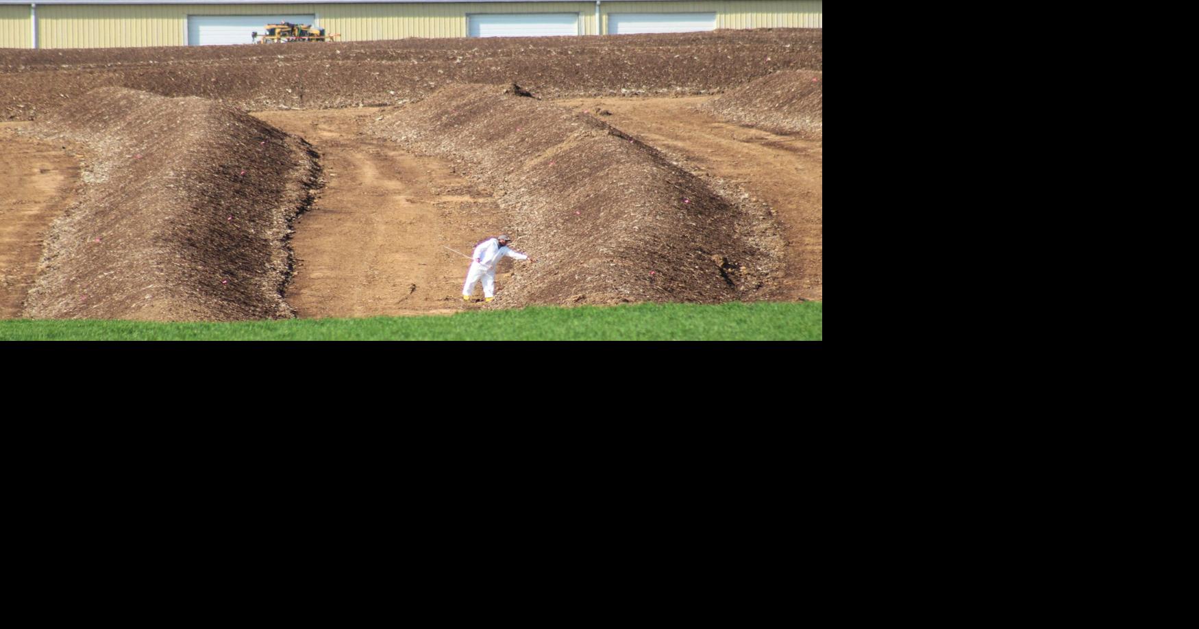 Poultry specialist explains spectacle of chicken composting amid bird flu outbreak [Lancaster Watchdog]