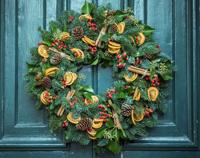 Make your own holiday wreath, build a succulent Christmas tree: 40 classes for plant parents to try in December