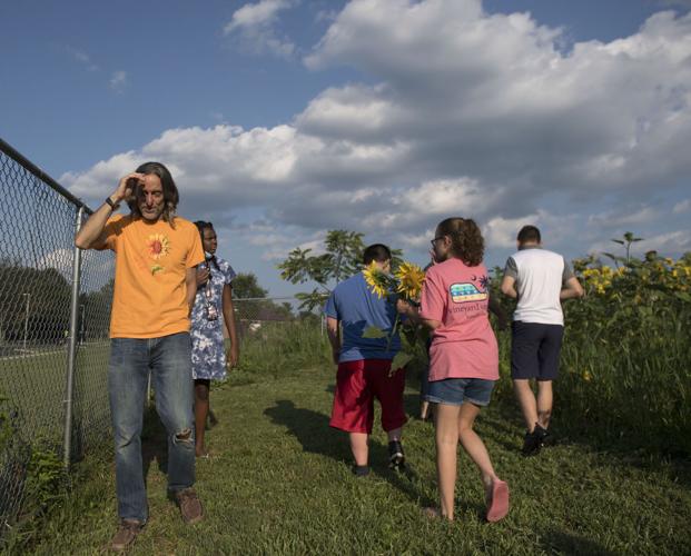 Wheatland Community Sunflower Garden [photos]