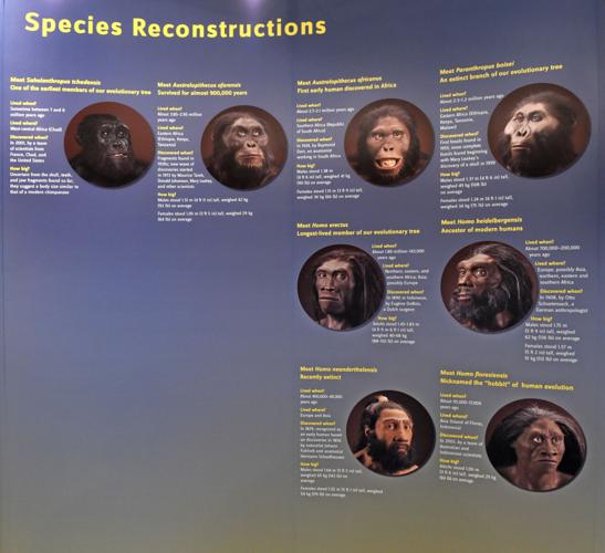 Smithsonian exhibit at Ephrata library asks people to define what it