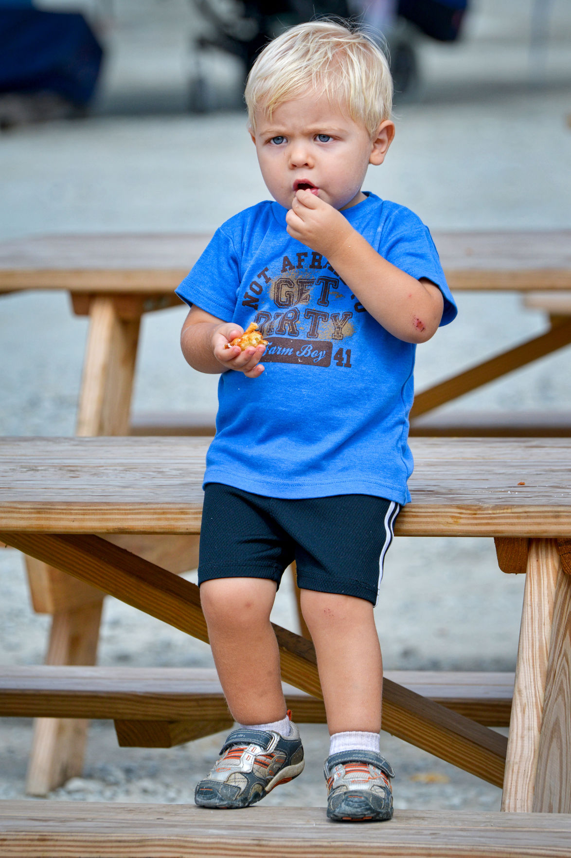 A look at the Solanco Fair [photos] News