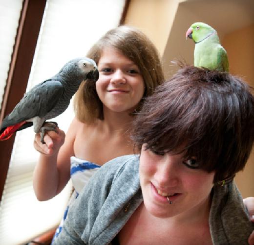 Home is fish, pet place, too Lifestyle