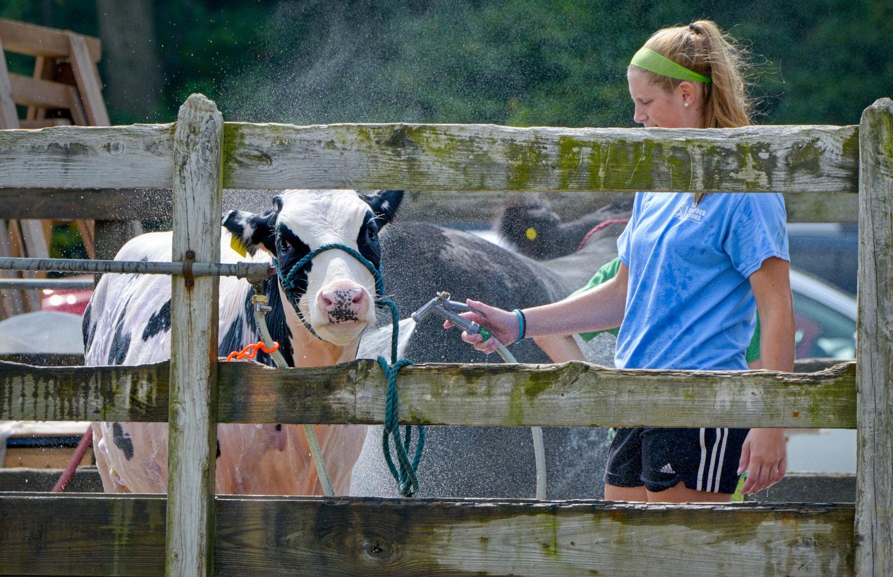 Solanco Fair 2019 starts Wednesday with a parade; here's your fair