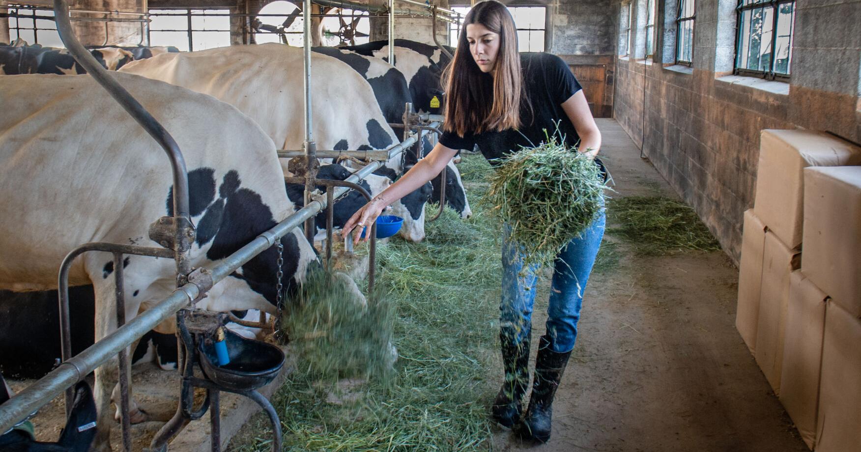 Women are changing the face of agriculture - Vimarsana News