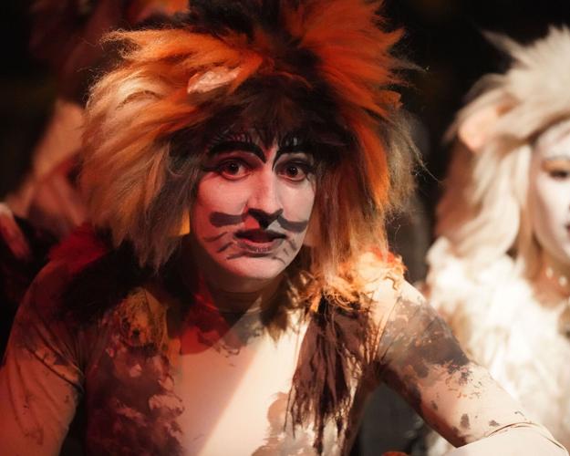 Cats' opens Friday at Susquehanna Stage; see the elaborate costumes, makeup, Entertainment