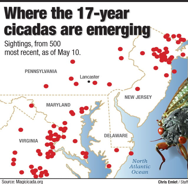 17Year Cicada Map 2021 Maryland Museonart