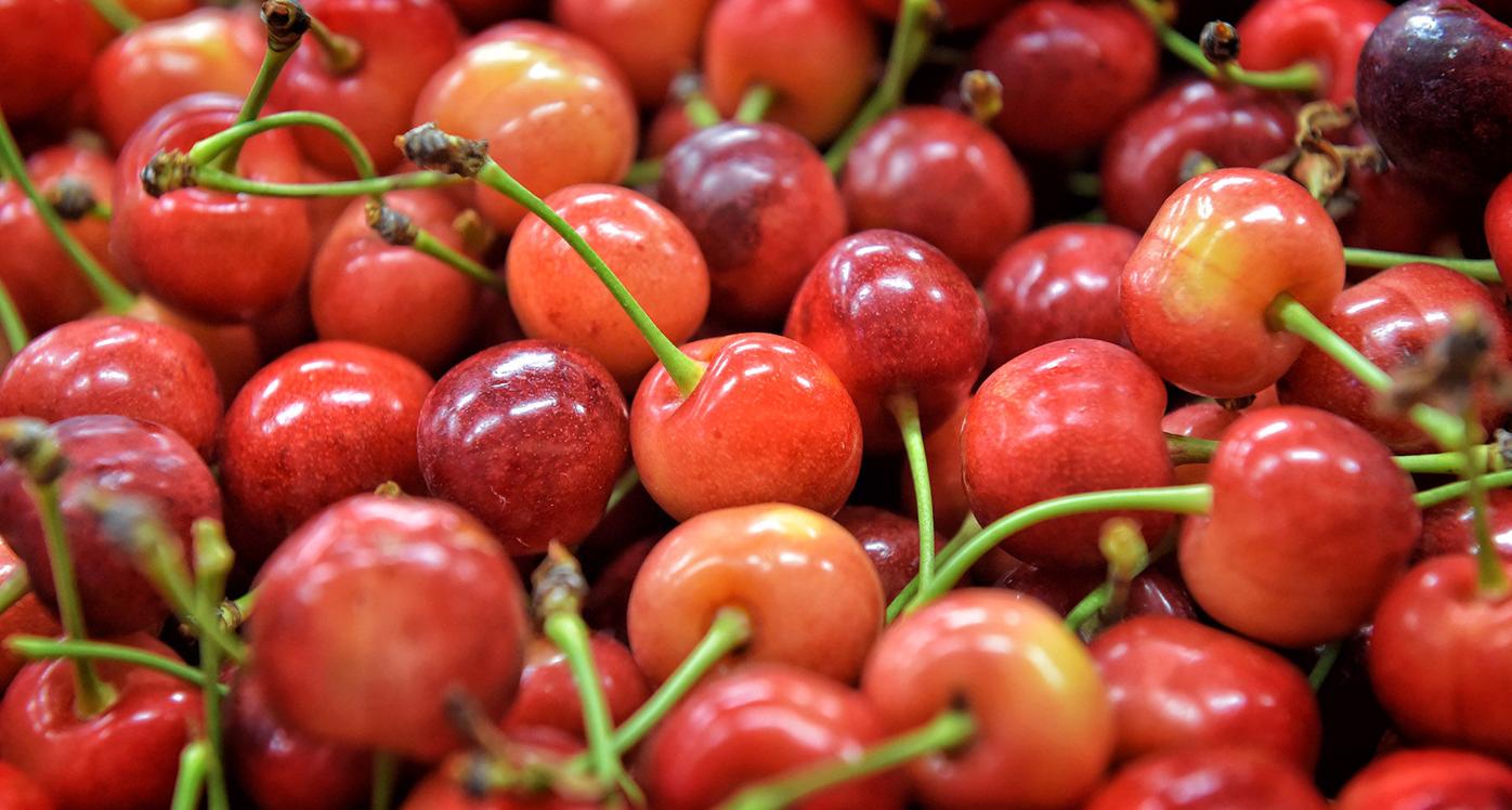 Where to pick your own peaches this summer in Lancaster County, Food